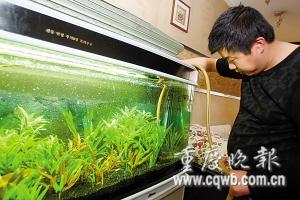 专业上门清理鱼缸电话