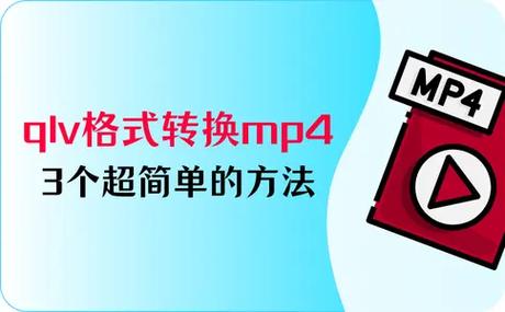 文件类型qlv可以播放吗