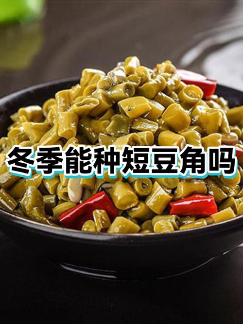 短豆角的做法