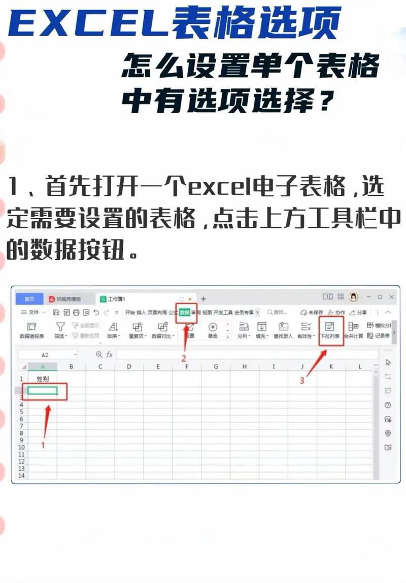 excel设置选项内容