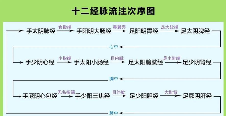 奇经八脉十二经络动画示意图解
