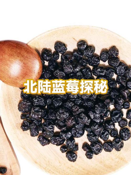 蓝莓的功效与作用及营养价值缩略图