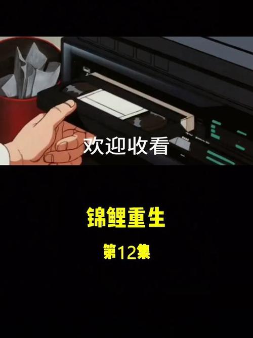 重生锦鲤有空间到五零全本免费截图