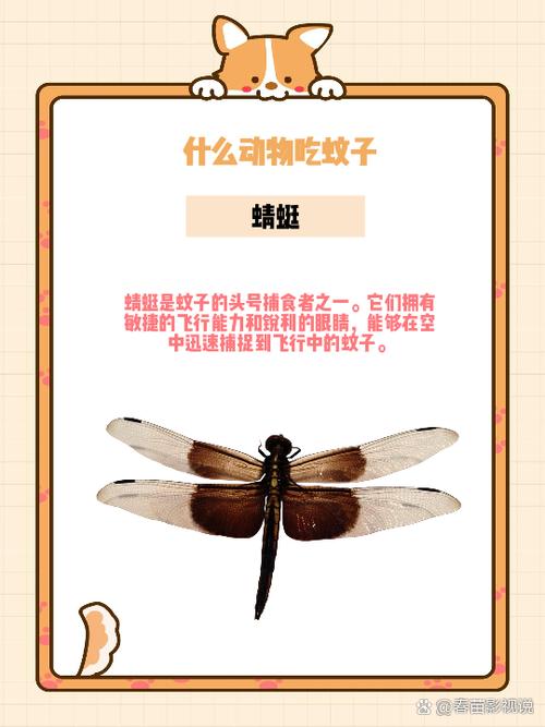微信语音通话有回音什么原因图标