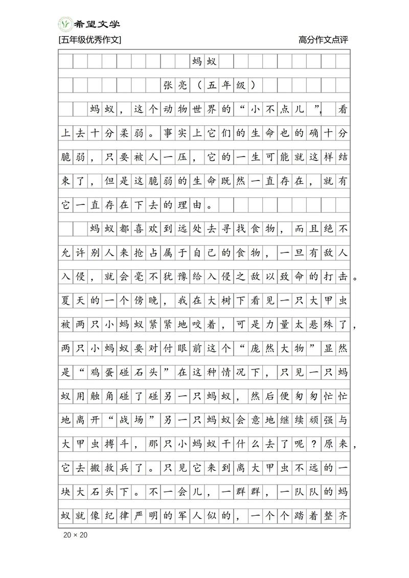 蚂蚁逃离火海的读后感截图