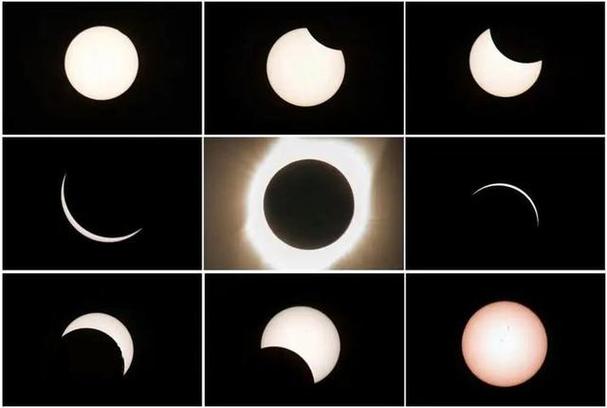 植物大战僵尸eclipse