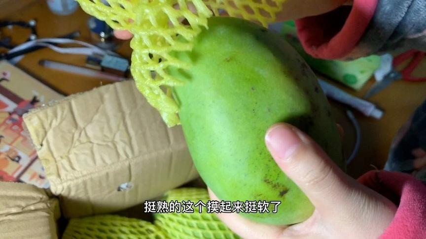 美团上种的芒果有几个啊