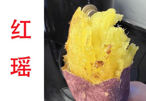 蜜薯和红薯怎么看出来