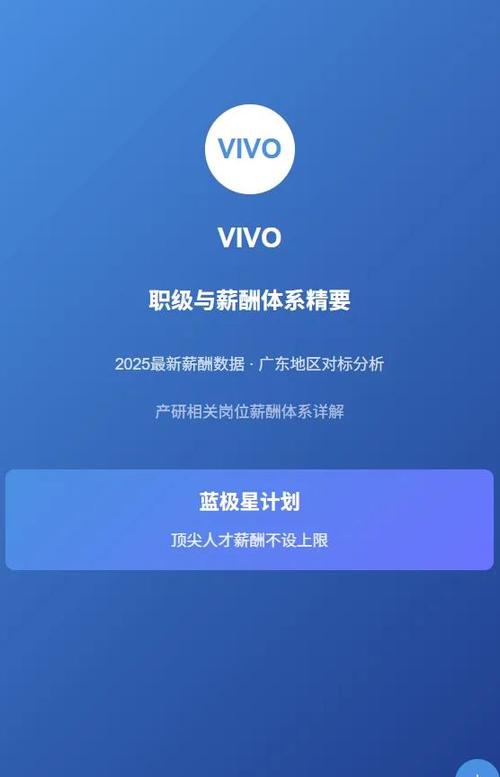 vivo工资统计