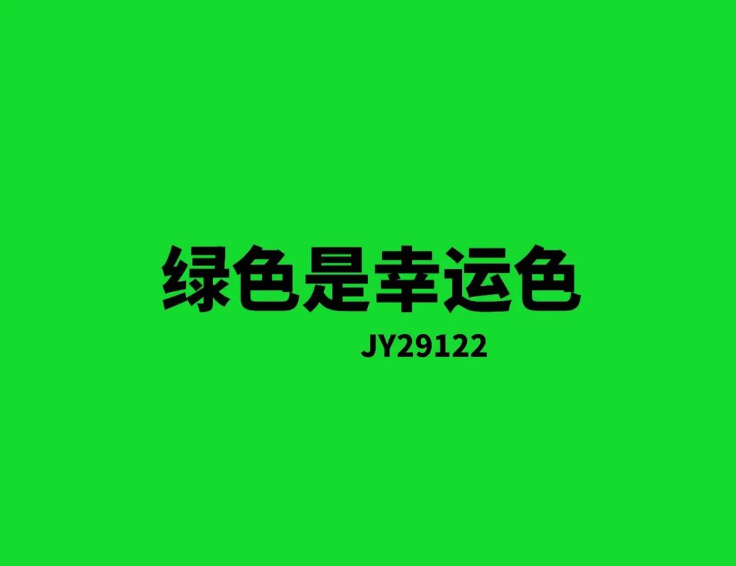 净网大师绿色纯净版