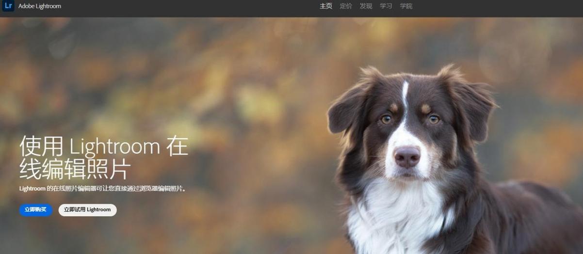手机编辑图片黑白反转