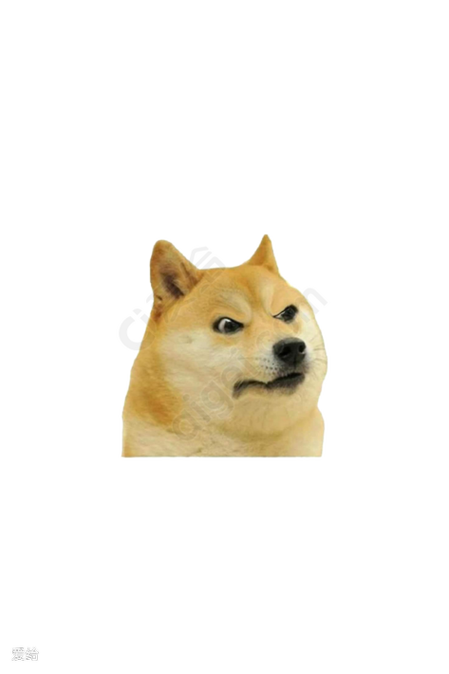 狗头表情包改版