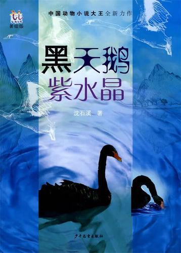 淘淘小说缩略图