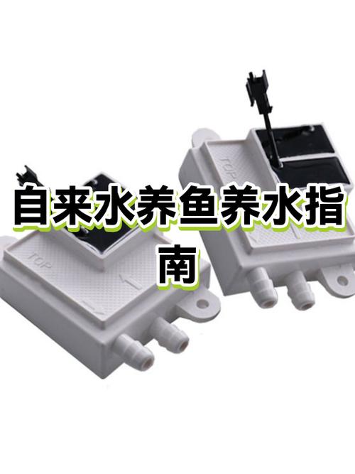 养鱼的水有什么要求图标