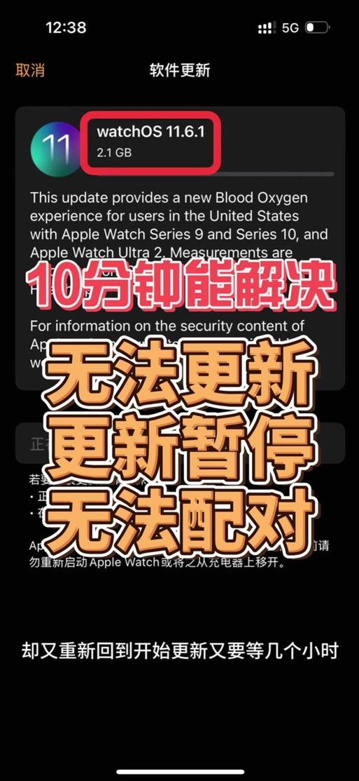 watch无法更新