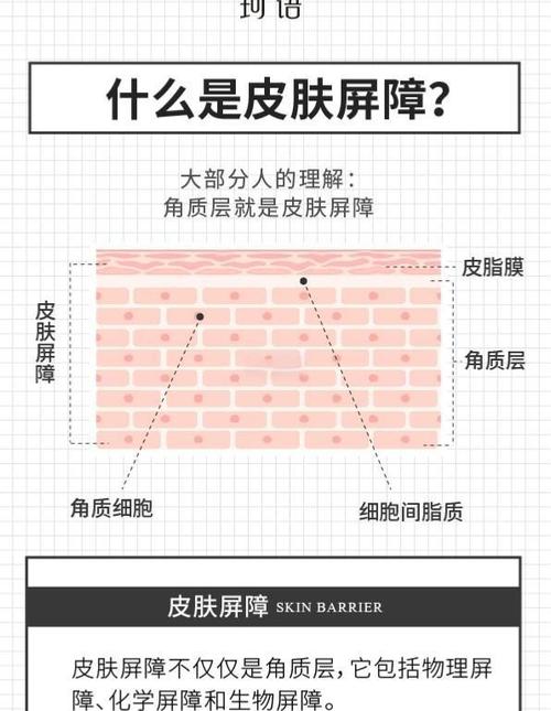 rustdlc买了怎么换不了皮肤