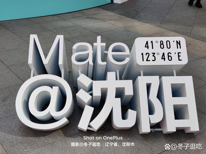沈阳日报PDG