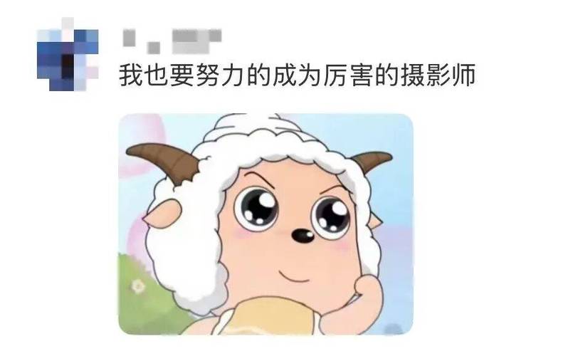 学会勇敢的小羊