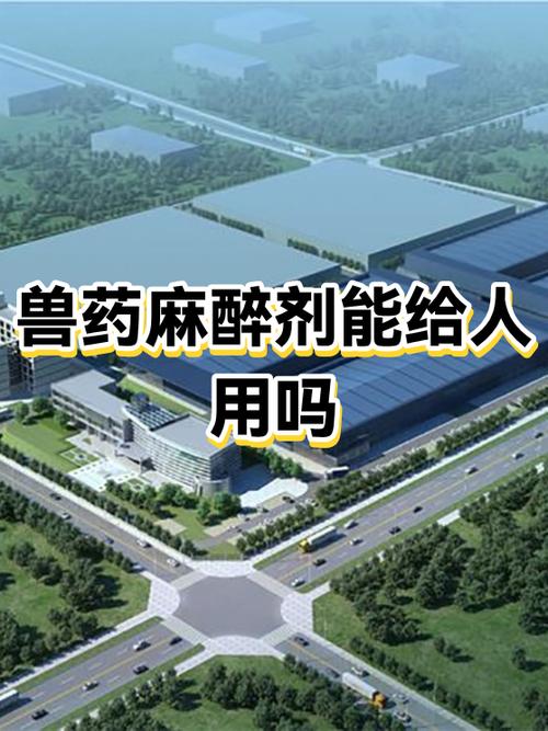 羊麻醉的计量缩略图