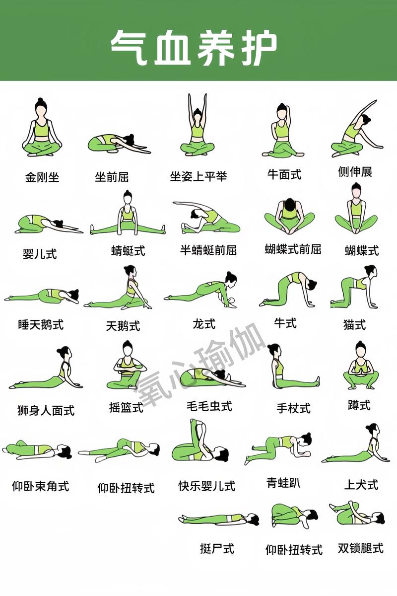经典初级瑜伽教程视频