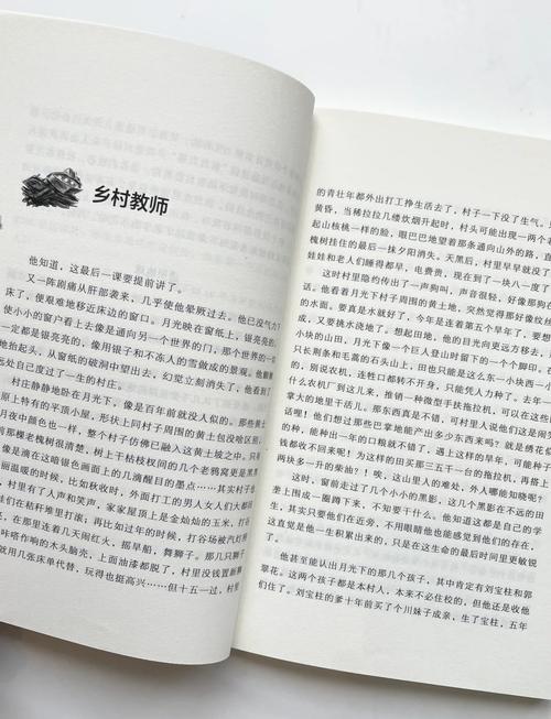 划雨 乡村教师全集
