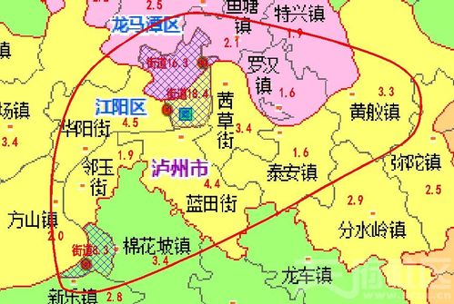 泸州城区地图实景全图