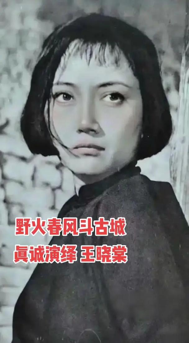 电影野火春风斗古城在线观看截图