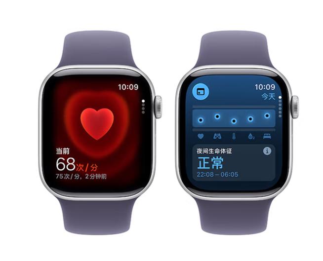 apple watch必下的应用