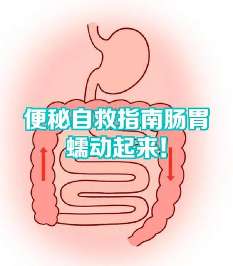 胃肠不蠕动排不出大便怎么办
