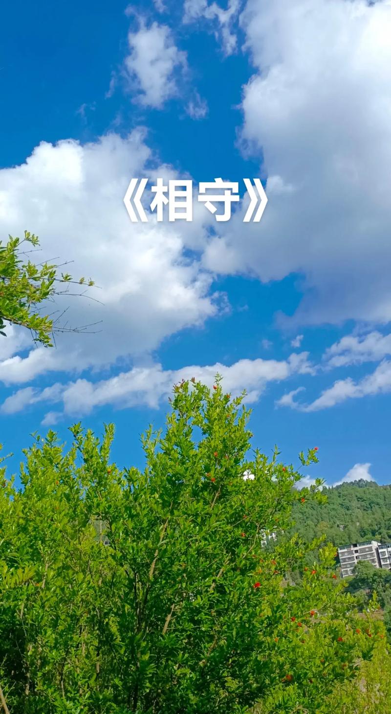 金久哲新歌截图