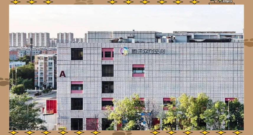 北京小鸟科技官网入口图标