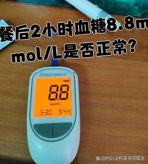 8.8血糖属于几级图标