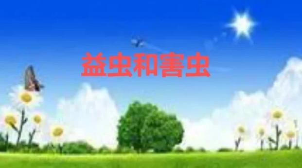 关于益虫和害虫的故事