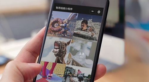 大家都在玩什么短视频件