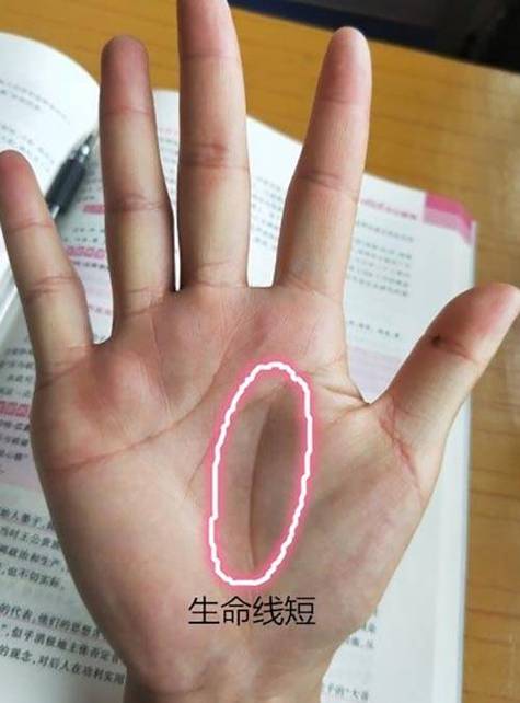 看生命线可以确定寿命长短吗