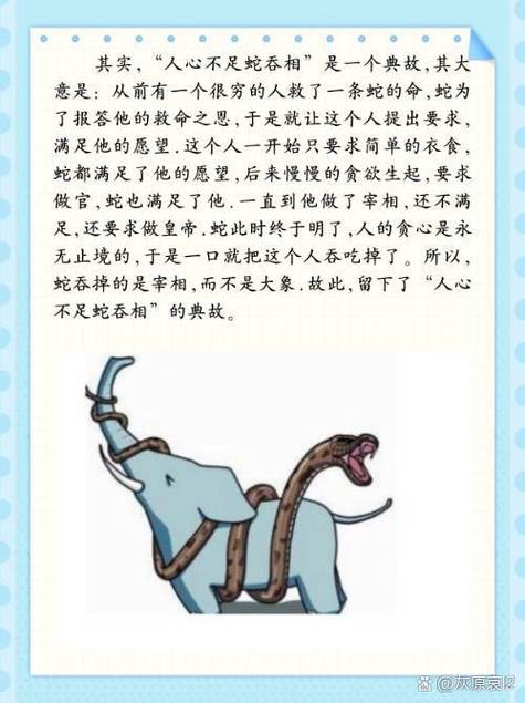 呈象是什么意思游戏截图