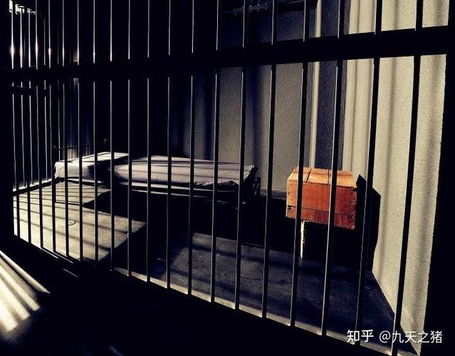 惩罚猫咪要关多久小黑屋
