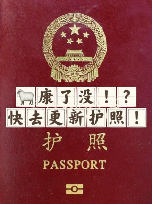 护照办理需要什么材料缩略图