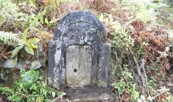 坟上石头慢慢变红要警惕四种病截图