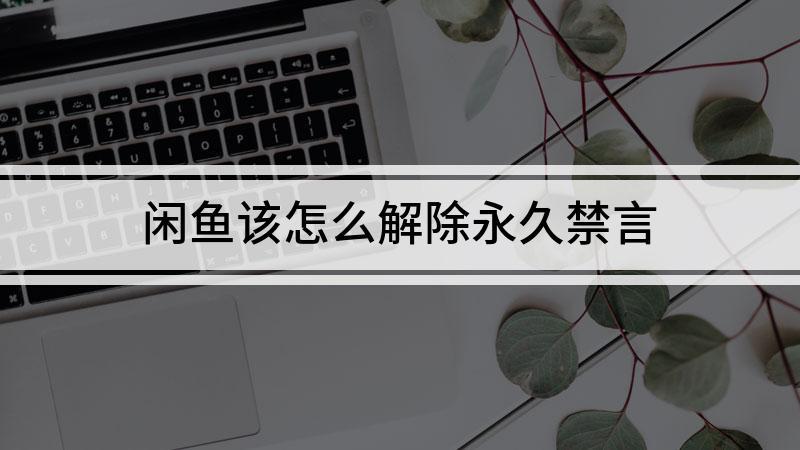 闲鱼禁言了怎么恢复截图