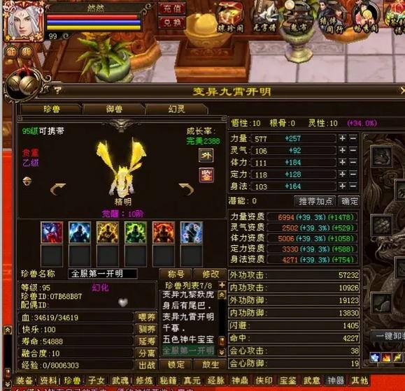 天龙八部45级能带的宝宝截图