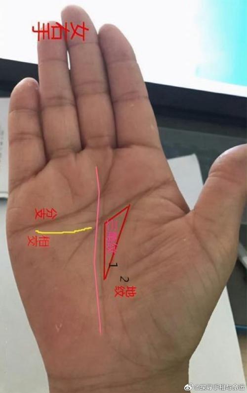 第一指挥官有感情线吗