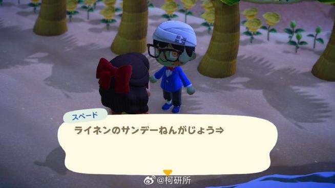 动物之森密码搜不到岛