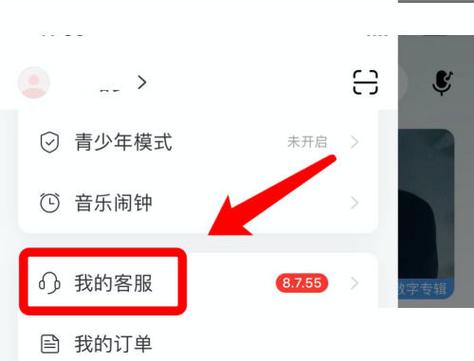 网易云实名认证在哪