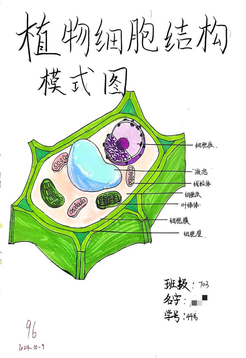 死亡细胞图纸是一次性吗截图