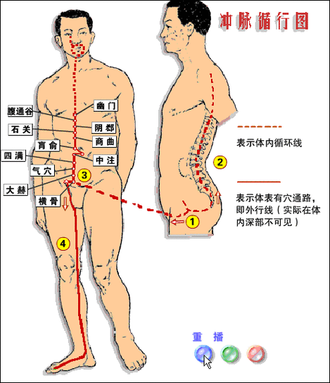 经络动态循行示意图