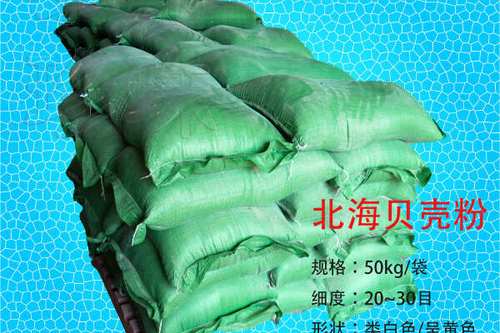 养殖贝壳一年可以赚多少钱图标