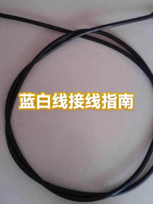 一根蓝线一根白线怎么接游戏截图