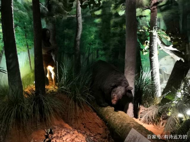 灭绝之前下载入口