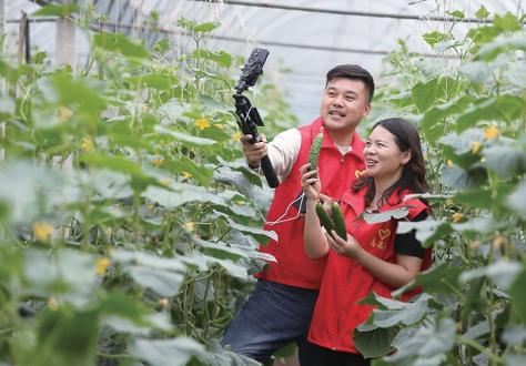 中国农技推广平台官网